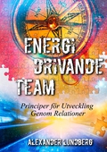 Energidrivande Team: Principer för Utveckling Genom Relationer