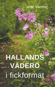 Hallands Väderö i fickformat (e-bok) av Jette V