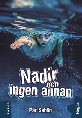 Nadir och ingen annan (e-bok) av Pär Sahlin