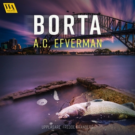Borta (ljudbok) av A.C. Efverman