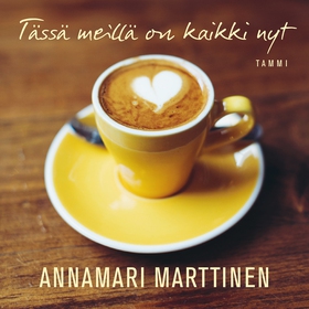 Tässä meillä on kaikki nyt (ljudbok) av Annamar