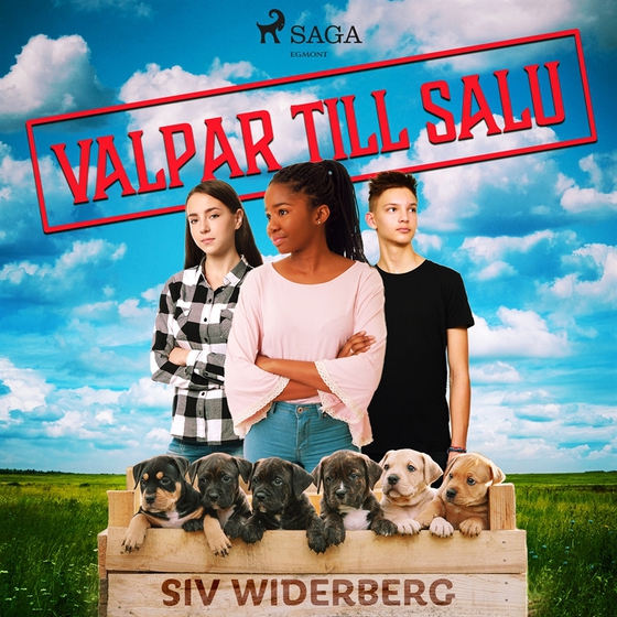 Valpar till salu (ljudbok) av Siv Widerberg
