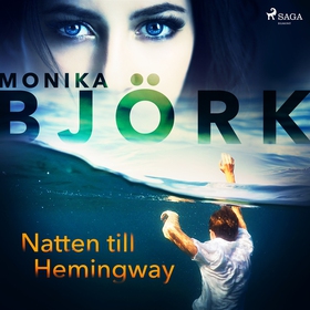 Natten till Hemingway (ljudbok) av Monika Björk