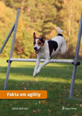Fakta om agility (ljudbok) av Sofie Berthet