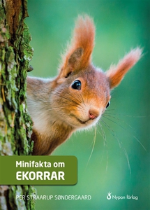 Minifakta om ekorrar (ljudbok) av Per Straarup