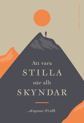 Att vara stilla när allt skyndar (e-bok) av Mag