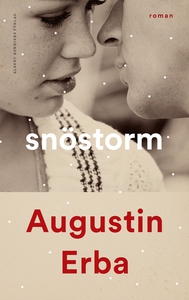 Snöstorm (e-bok) av Augustin Erba