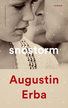 Snöstorm (e-bok) av Augustin Erba