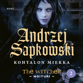 Kohtalon miekka (ljudbok) av Andrzej Sapkowski
