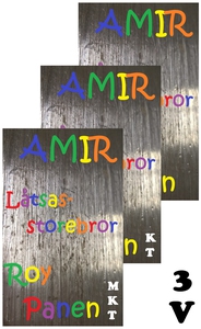 AMIR Låtsasstorebror (3 versioner) (e-bok) av R