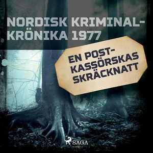 En postkassörskas skräcknatt (ljudbok) av Diver