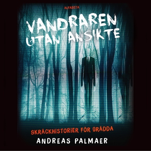 Vandraren utan ansikte (ljudbok) av Åsa Anderbe