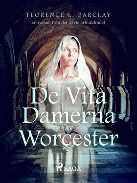 De vita damerna av Worcester: en roman från det
