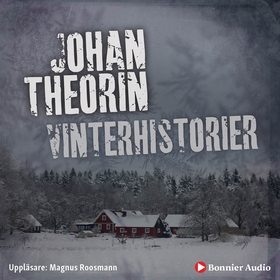 Vinterhistorier (ljudbok) av Johan Theorin