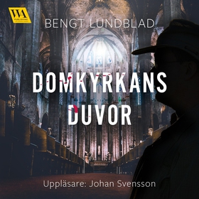 Domkyrkans duvor (ljudbok) av Bengt Lundblad