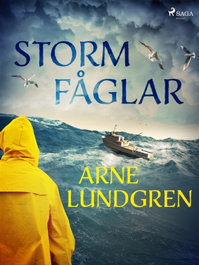 Stormfåglar (e-bok) av Arne Lundgren