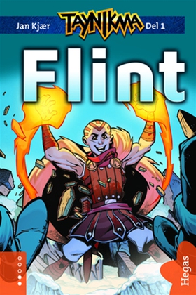 Taynikma 1: Flint (e-bok) av Jan Kjaer
