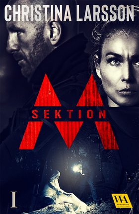 Sektion M I (e-bok) av Christina Larsson