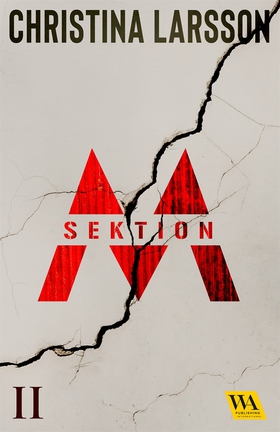Sektion M II (e-bok) av Christina Larsson