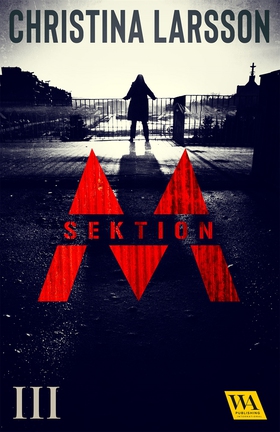 Sektion M III (e-bok) av Christina Larsson