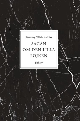 Sagan om den lilla pojken (e-bok) av Tommy Vähä