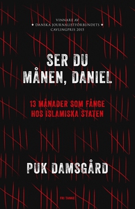 Ser du månen, Daniel? : 13 månader som fånge ho