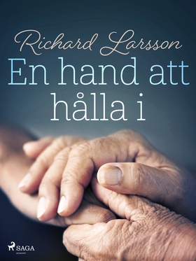 En hand att hålla i (e-bok) av Richard Larsson