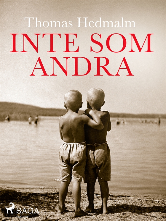 Inte som andra (e-bok) av Thomas Hedmalm