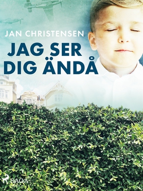 Jag ser dig ändå (e-bok) av Jan Christensen