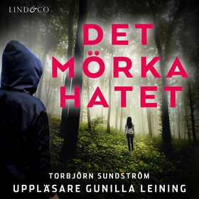 Det mörka hatet (ljudbok) av Torbjörn Sundström