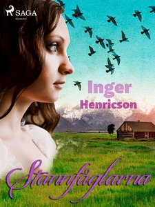 Stannfåglarna (e-bok) av Inger Henricson