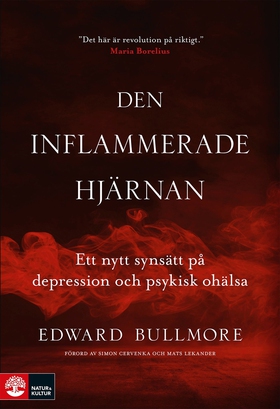 Den inflammerade hjärnan : ett nytt synsätt på