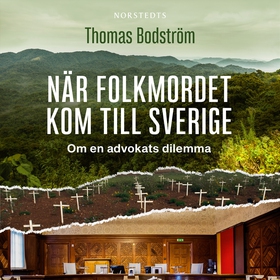 När folkmordet kom till Sverige : om en advokat