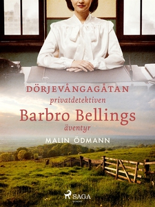 Dörjevångagåtan: privatdetektiven Barbro Bellin