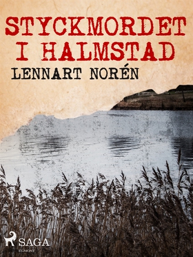 Styckmordet i Halmstad (e-bok) av Lennart Norén