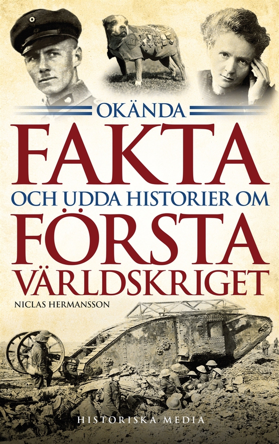 Okända fakta och udda historier om första världskriget (e-bok) av Niclas Hermansson