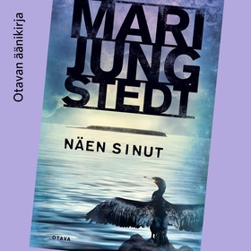 Näen sinut (ljudbok) av Mari Jungstedt