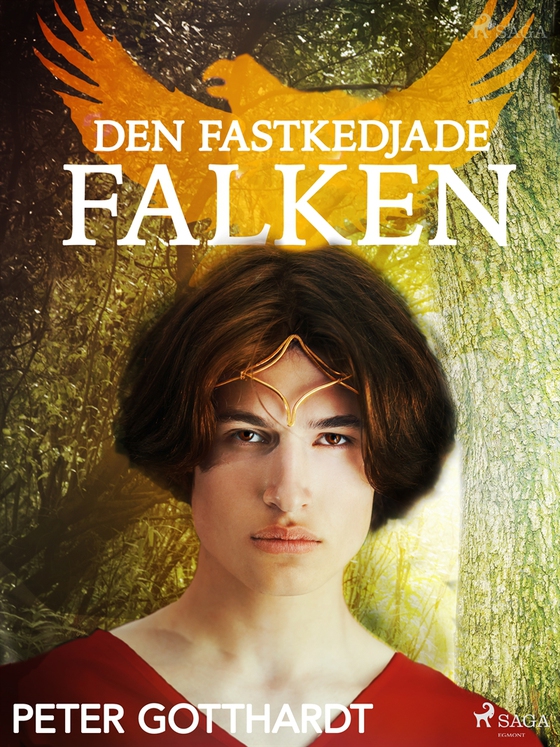 Den magiska falken 2: Den fastkedjade falken