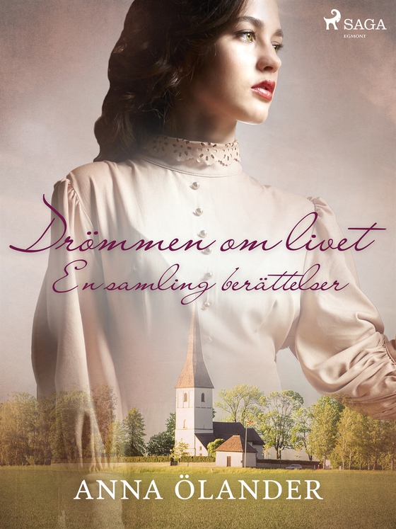 Drömmen om livet: En samling berättelser (e-bok) av Anna Ölander