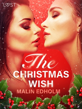 The Christmas Wish - Erotic Short Story (e-bok)