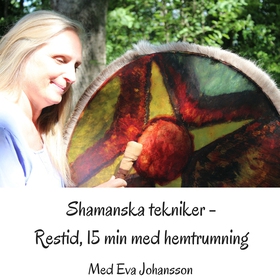 Shamanska tekniker del 6 (ljudbok) av Eva Johan