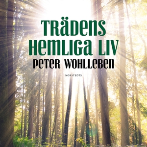 Trädens hemliga liv : Vad de tänker, hur de pra