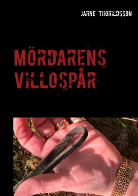 Mördarens Villospår (e-bok) av Jarne Thorildsso