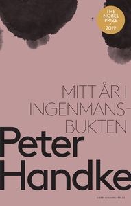 Mitt år i Ingenmansbukten : En saga från de nya