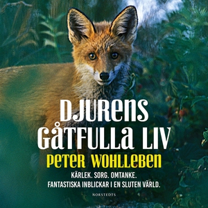 Djurens gåtfulla liv - Kärlek. Sorg. Omtanke :