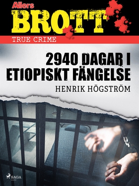 2940 dagar i etiopiskt fängelse (e-bok) av Henr