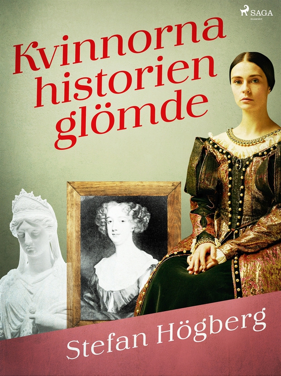 Kvinnorna historien glömde (e-bok) av Stefan Högberg