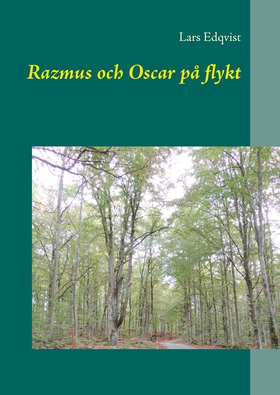 Razmus och Oscar på flykt (e-bok) av Lars Edqvi