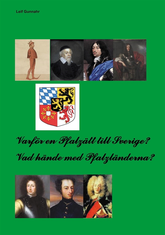 Varför en Pfalzätt till Sverige?: Vad hände med Pfalzländerna?