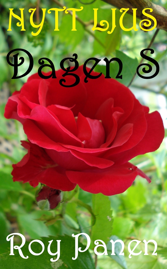 NYTT LJUS Dagen S